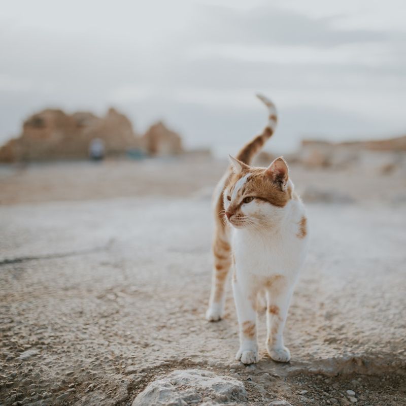 Jesse O'Conner - Textile Knitting Machine Operator